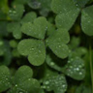 Meet your Posher, Kadey